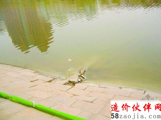 不明污水排放東風(fēng)渠