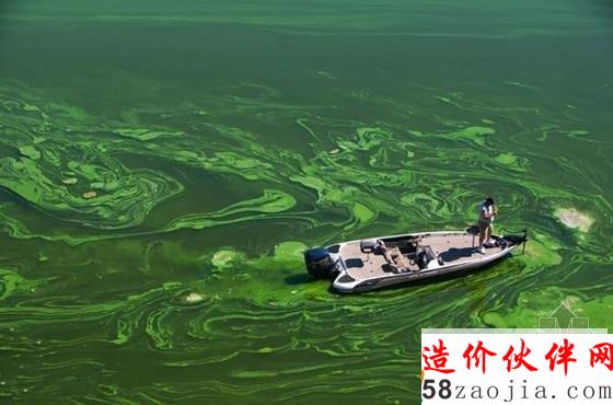 水體污染致藻類爆發(fā)