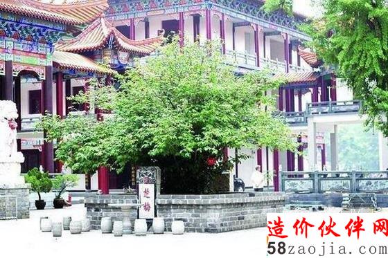 章臺古梅–在湖北荊州市太師淵章華寺內