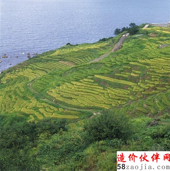 石川縣景點·白米千枚田