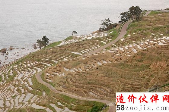 石川縣景點·白米千枚田