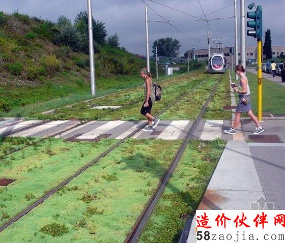 佛羅倫薩斯坎迪奇綠色電車軌道