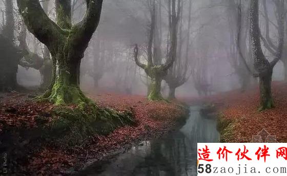 Otzarreta森林 西班牙