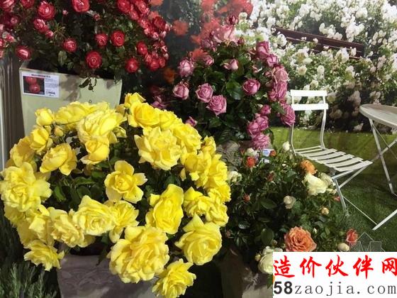 甜品玫瑰展