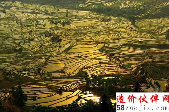 “大地雕塑”元陽梯田