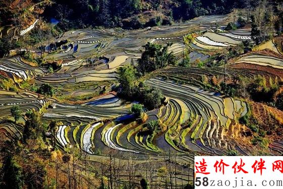 “大地雕塑”元陽梯田
