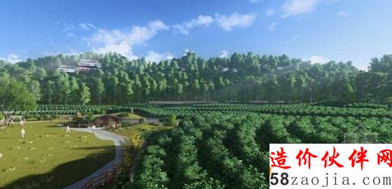 袋底洞茶葉莊園