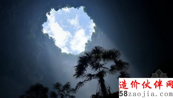 湖北天坑里的“動(dòng)植物王國(guó)”