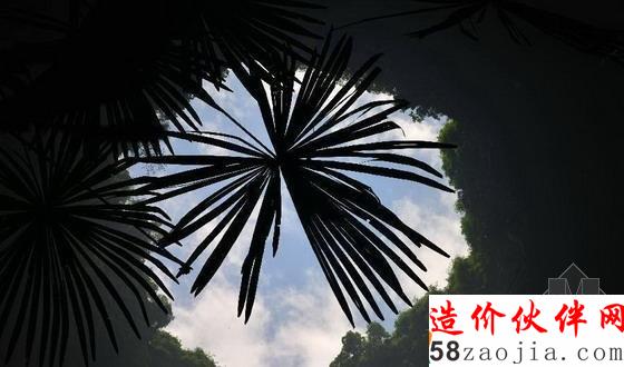 湖北天坑里的“動(dòng)植物王國(guó)”