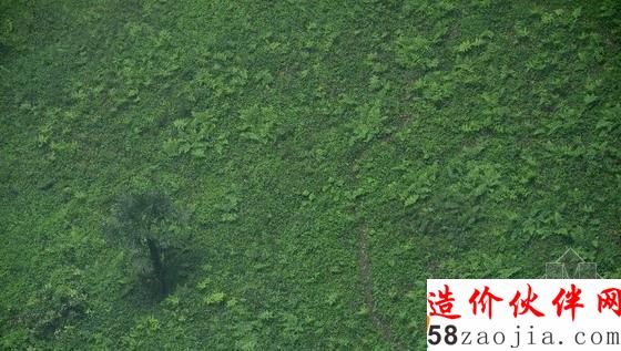 湖北天坑里的“動(dòng)植物王國(guó)”