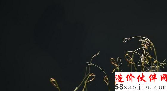 湖北天坑里的“動(dòng)植物王國(guó)”