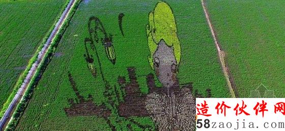 巨幅“3D稻田畫(huà)”