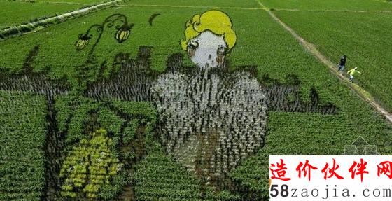 巨幅“3D稻田畫(huà)”
