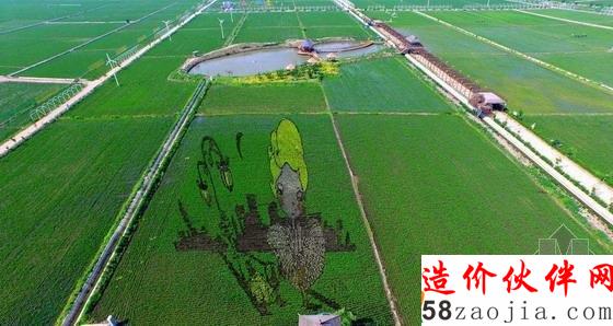 巨幅“3D稻田畫(huà)”