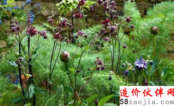 德麥亞花園