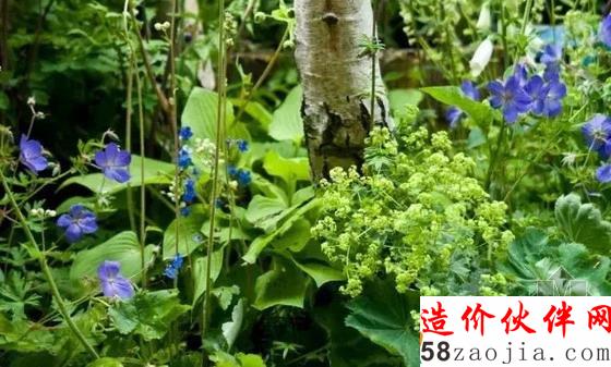 德麥亞花園