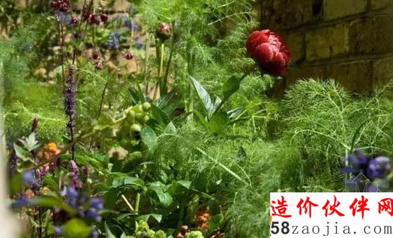 德麥亞花園