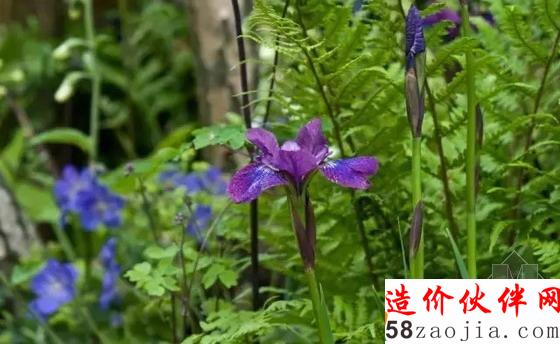 德麥亞花園