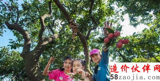 無人機航拍廣東海珠國家濕地公園