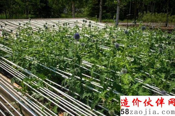 2015年美國第16屆國際花園節(jié)花園設計