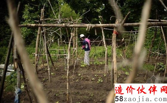 圖為耶魯菜園里工整的菜地