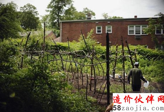 圖為老人在菜園里工作