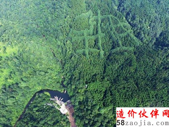 成都山區(qū)神秘“犇”字形圖案