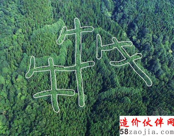 成都山區(qū)神秘“犇”字形圖案