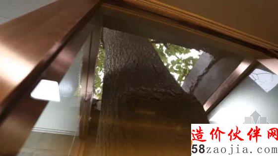 仲松挑戰(zhàn)晚清舊宅改造 讓老宅家人落葉歸根