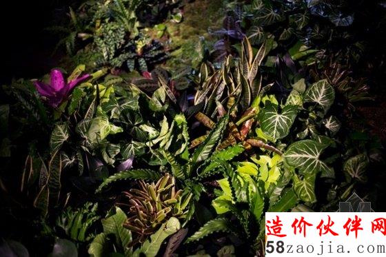 紐約擬建全球首個地下公園