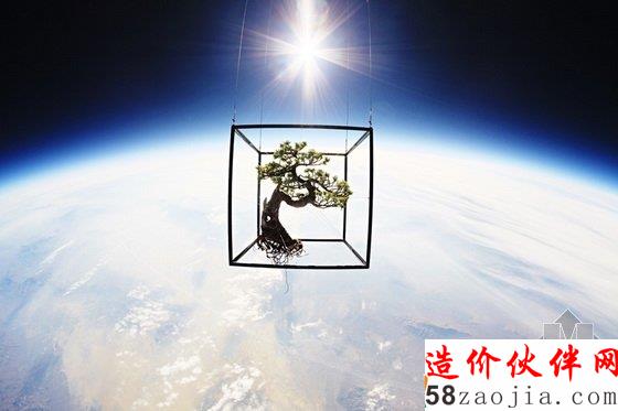 美國達拉斯藝術(shù)館一棵盆栽的10年“游歷”