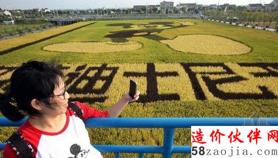 上,F(xiàn)巨幅“米老鼠”稻田畫迎接迪士尼