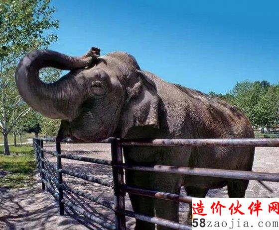 邁克爾杰克遜“夢(mèng)幻莊園”雙11開拍 起拍價(jià)竟達(dá)5億元?