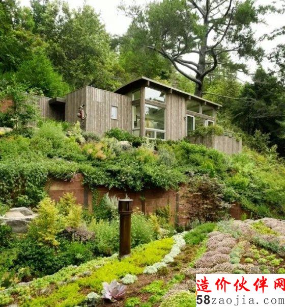 買不起房子?明天我們一起住樹上吧!