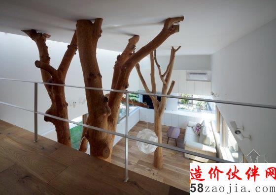 買不起房子?明天我們一起住樹上吧!