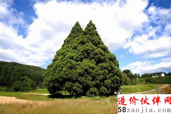 八一八童話里的那些現(xiàn)實(shí)美景