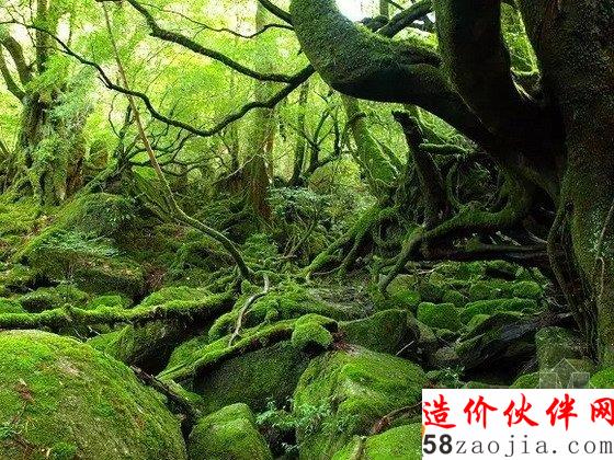 宮崎駿的童話世界 竟然真的有!