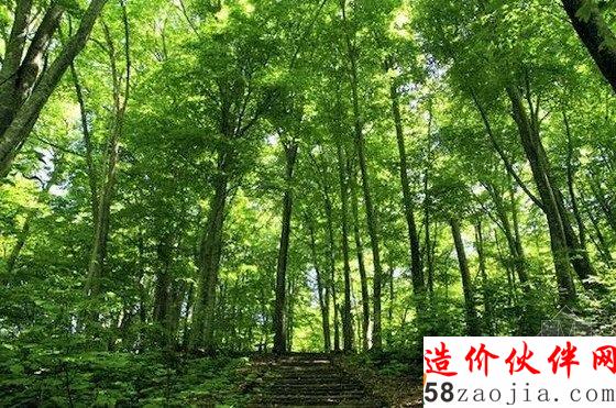 宮崎駿的童話世界 竟然真的有!