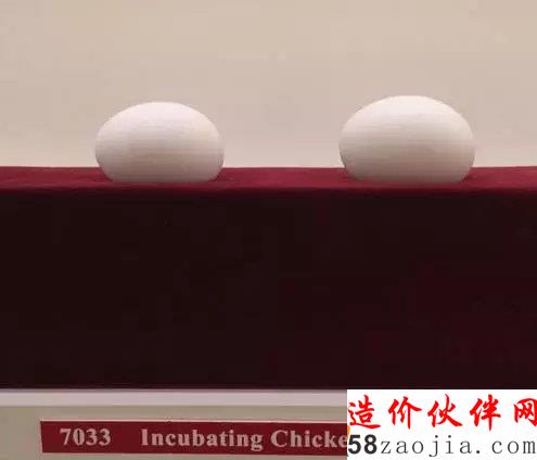他們?cè)?平米的電梯里開(kāi)了間「世界最小」的博物館