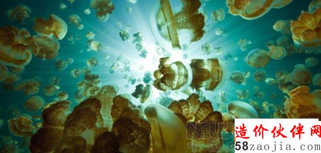 菲建筑師設(shè)計水母形生態(tài)小屋 取代水上貧民窟