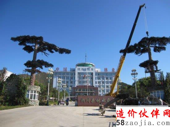 曾經(jīng)“長(zhǎng)”在淅川縣林業(yè)局門口的兩棵“迎客松”。