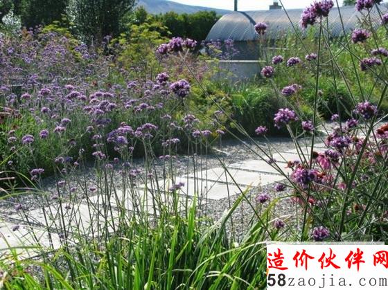 WLA-13_-50-Landscape-Project_Bernadette-Kinsella_Image-3-565x423.jpg